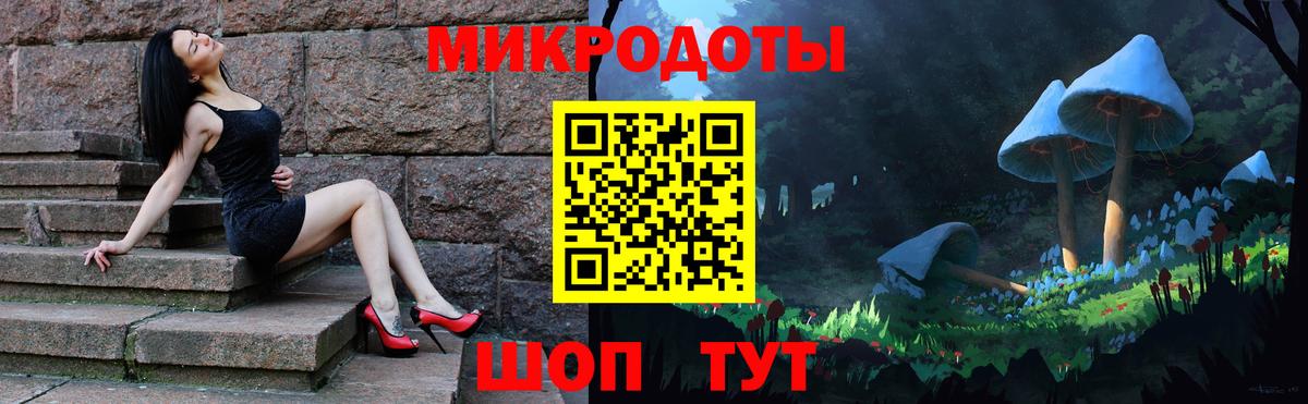 Псилоцибиновые грибы мухоморы  что такое   Вход с VPN  Аша  Галлюциногенные грибы Psilocybe 